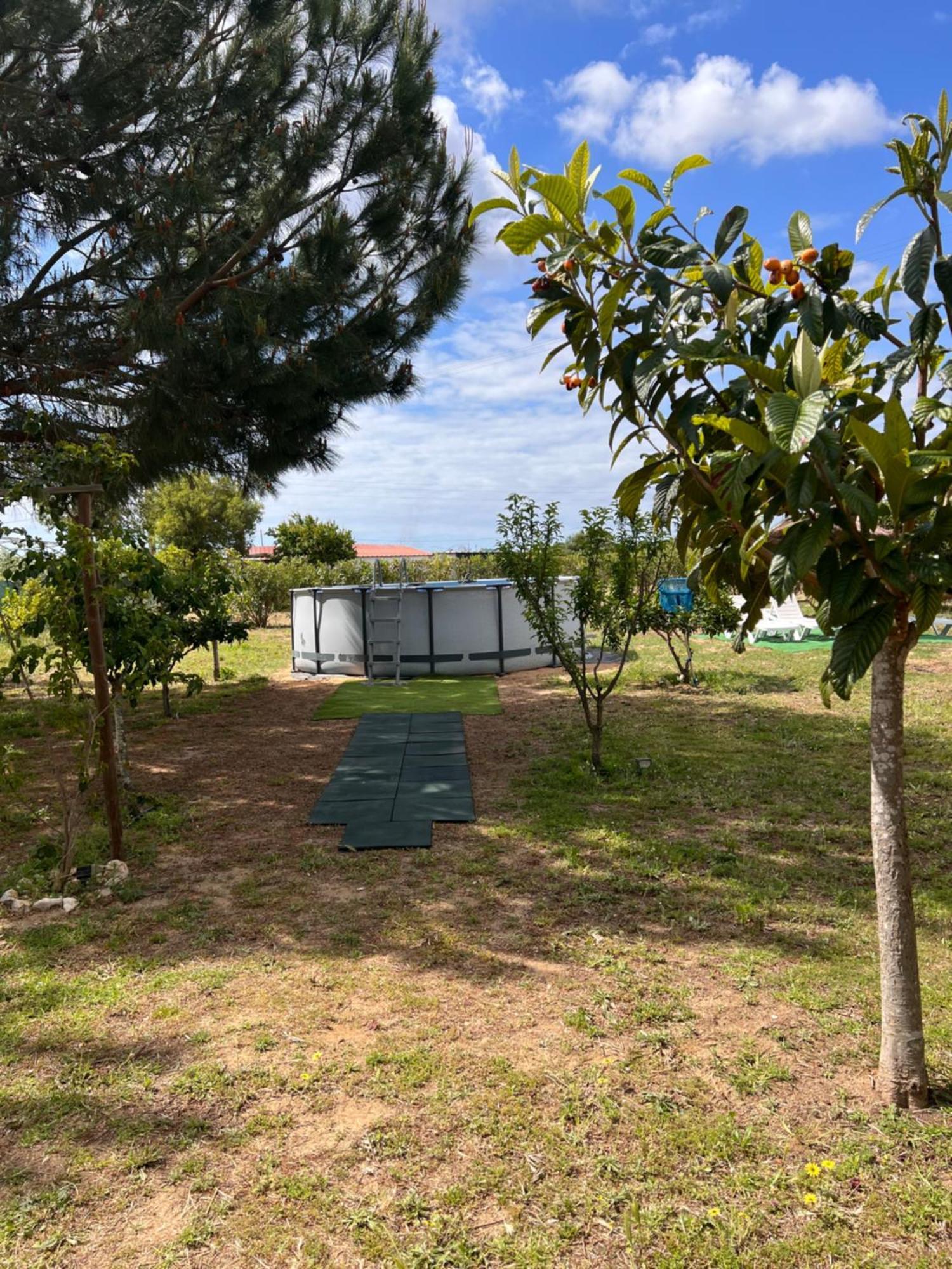 فيلا Quinta Dos Viegas فارو المظهر الخارجي الصورة