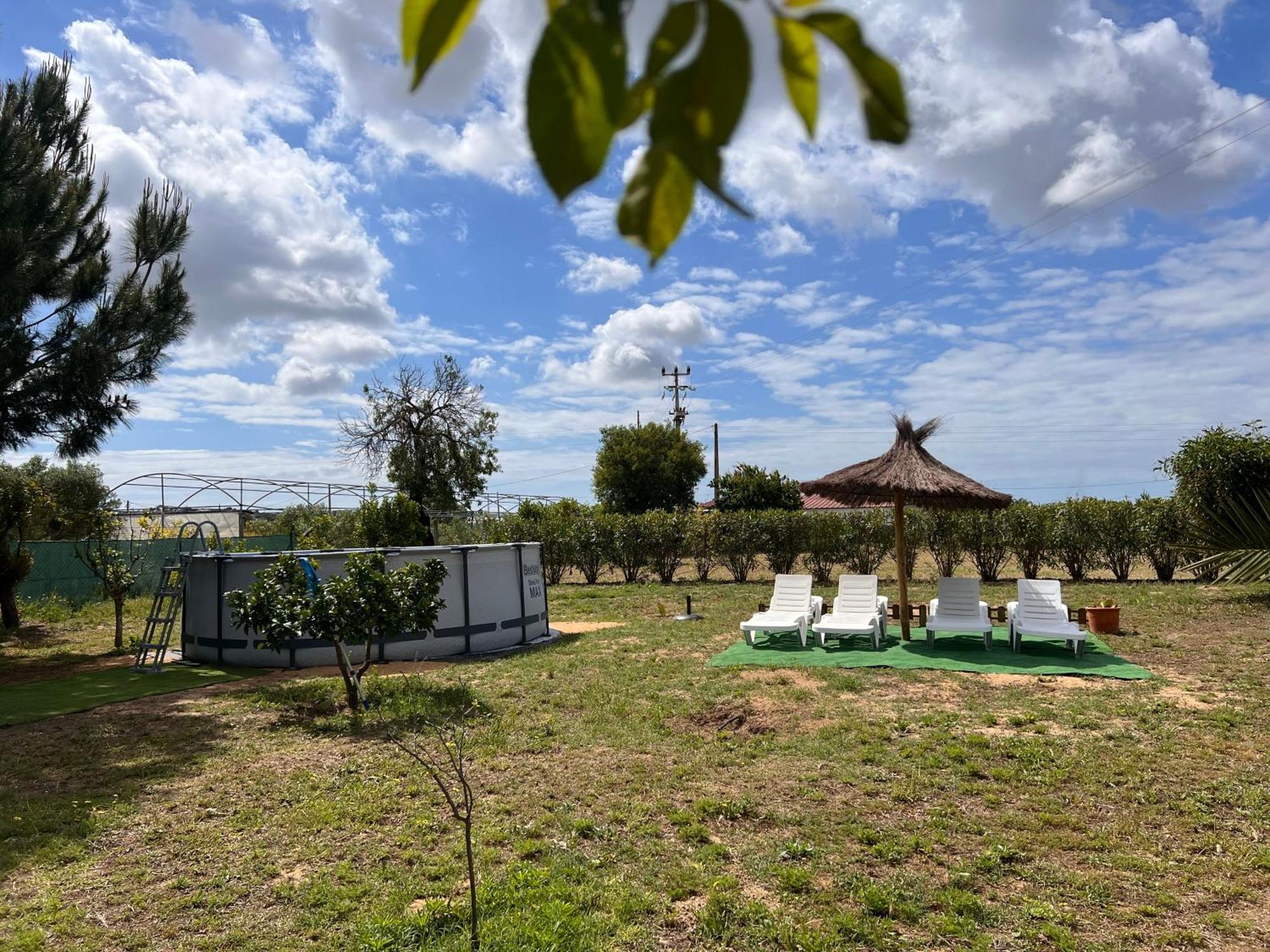 فيلا Quinta Dos Viegas فارو المظهر الخارجي الصورة